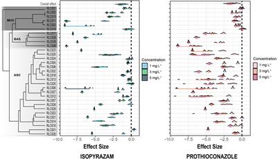 Sub-lethal fungicide concentrations both reduce and stimulate the growth rate of non-target soil fungi from a natural grassland